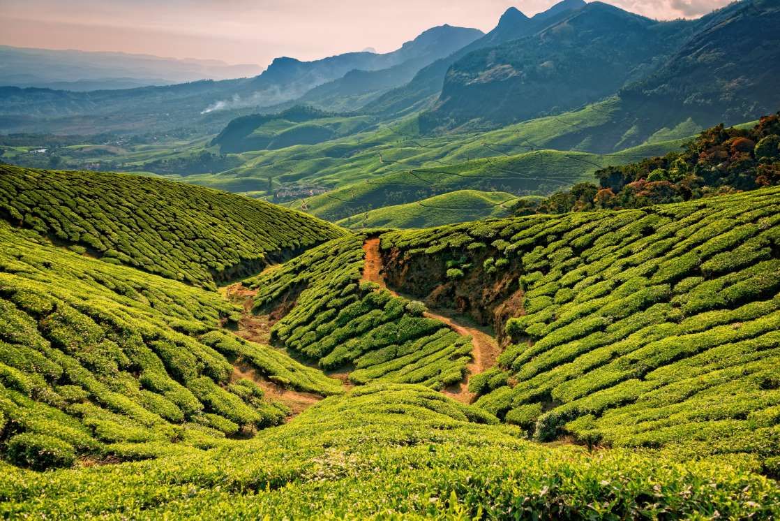 Munnar